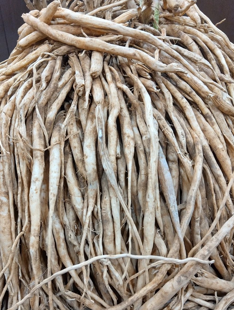 CG Forest & Climate Change Department tweet media