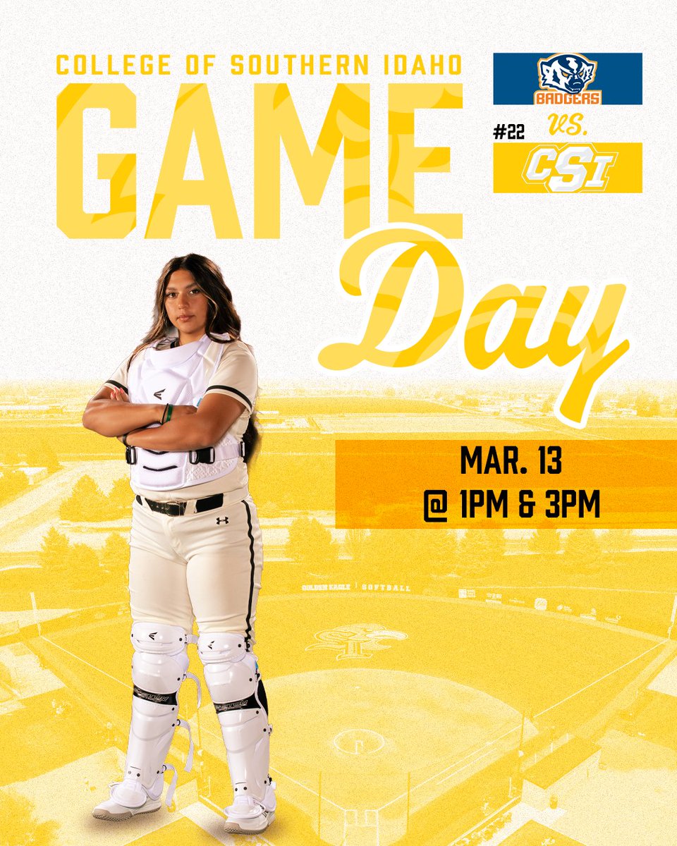 CSI Softball tweet media