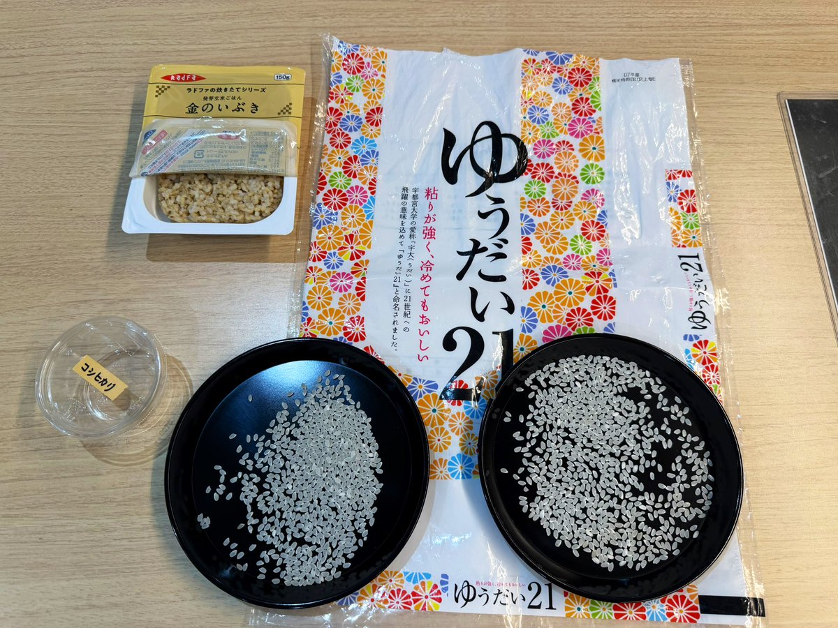 いつきゆりこ｜広報 tweet media