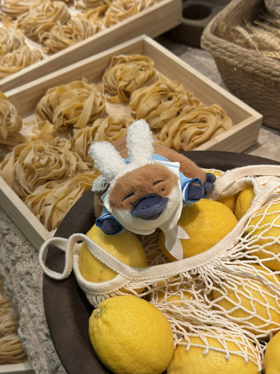 ジョリン tweet media