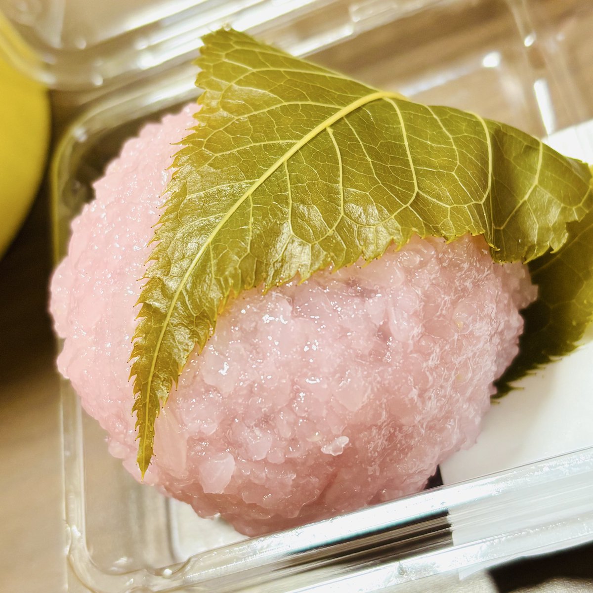 ジャイアント麗子/GiantReiko tweet media