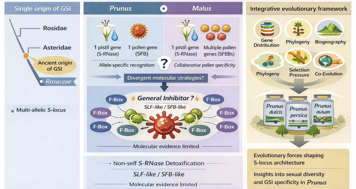 DNA MDPI tweet media