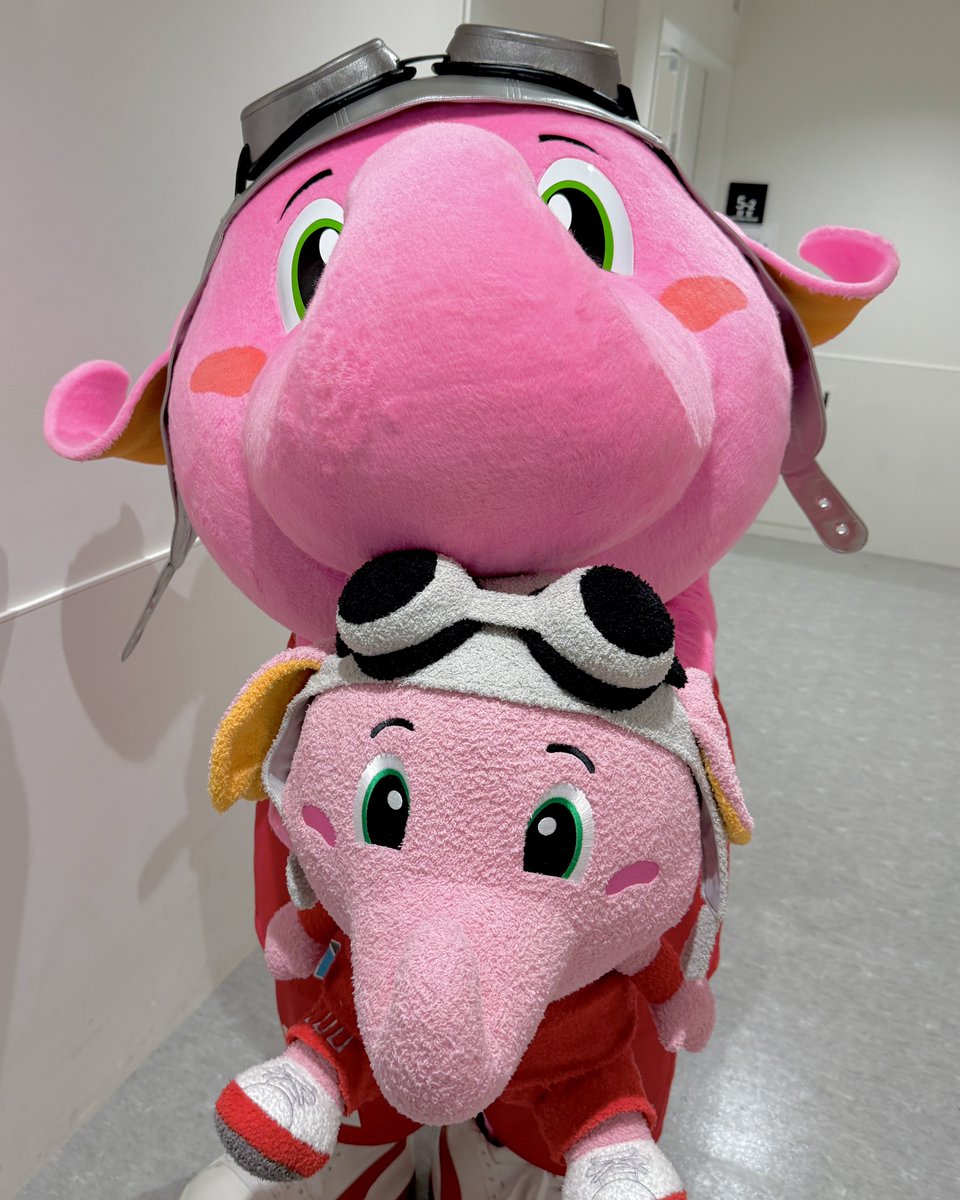 千葉ジェッツ　ジャンボくん　バックプリントフーディ(ジャンボくんフォト) M 千葉ジェッツ｜全商品｜（Bリーグ）公式オンラインショップ 千葉
