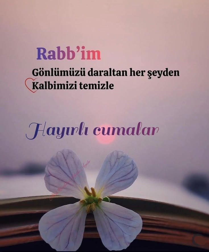 #günaydın
#HayırlıCumalar 🙏🍀