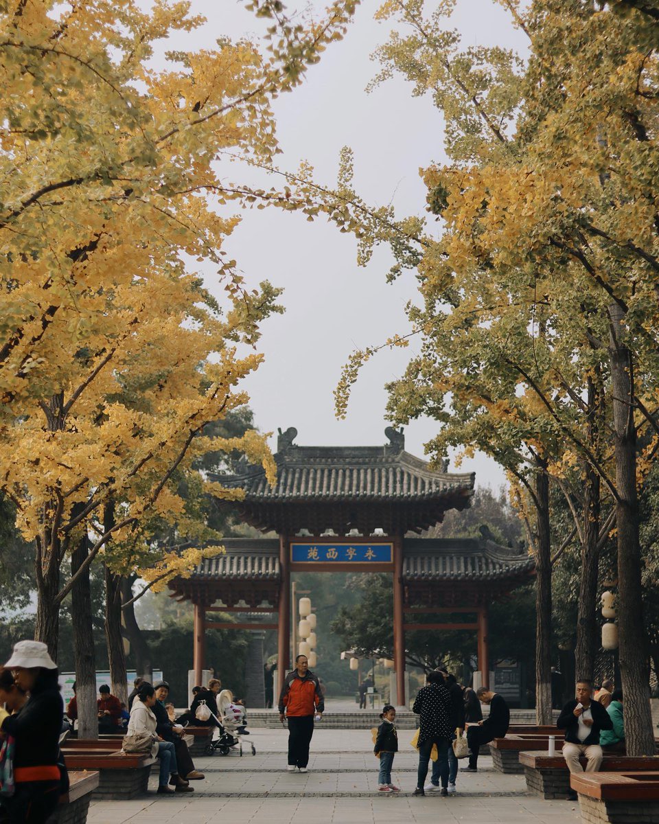 柯宛禎 tweet media