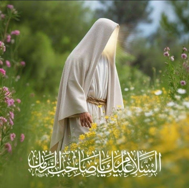 Fatema Haidery tweet media