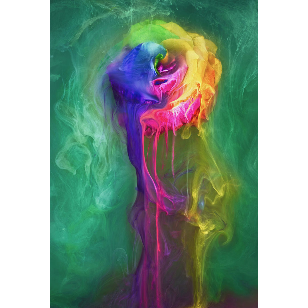 The Society of Photographers 📷 tweet media