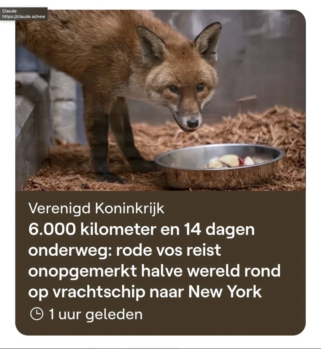 Johan Terryn tweet media