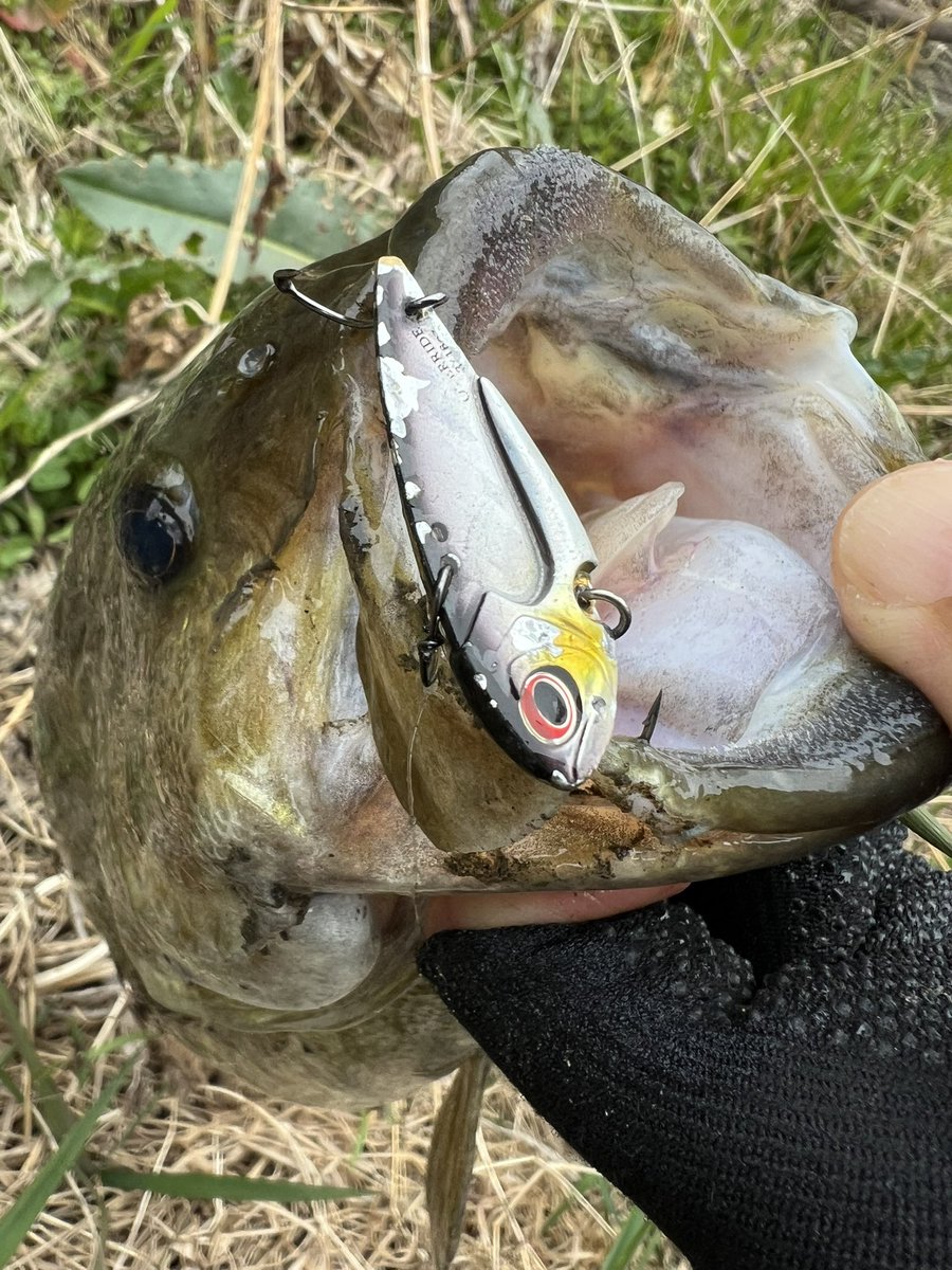 ユウジ tweet media