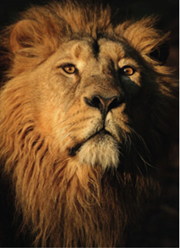 The Postcard Store tweet media