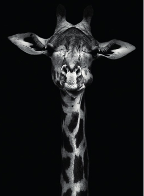 The Postcard Store tweet media