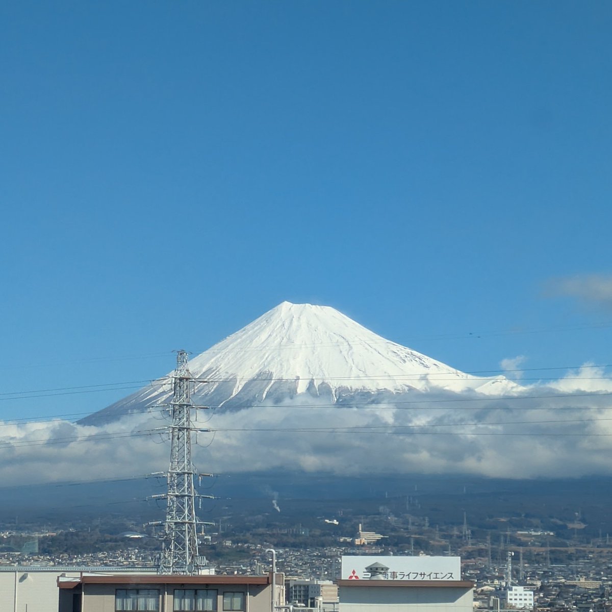 湖畔ノ森 tweet media