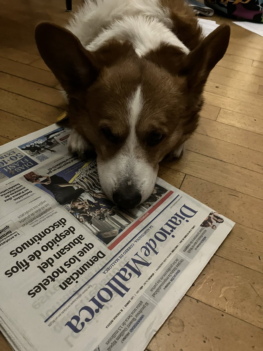 Claudia Tödtmann tweet media