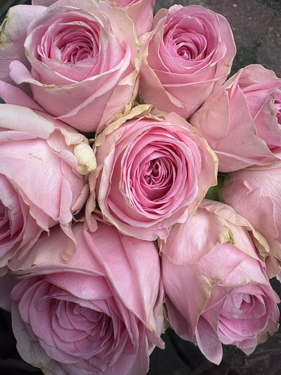 John H. Watson tweet media