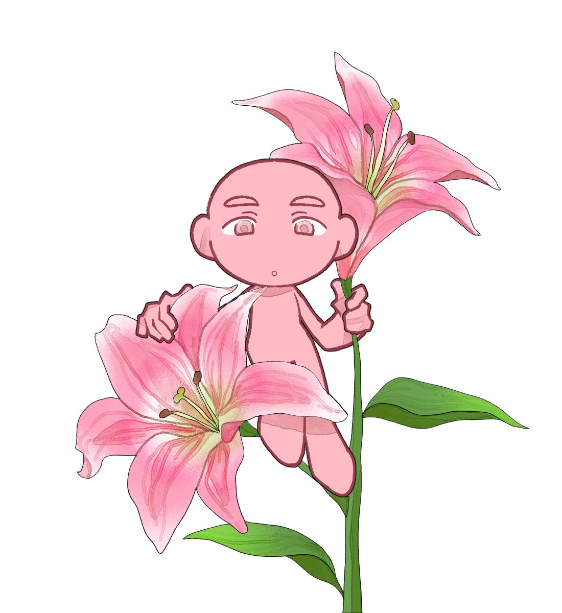 올빼미 tweet media