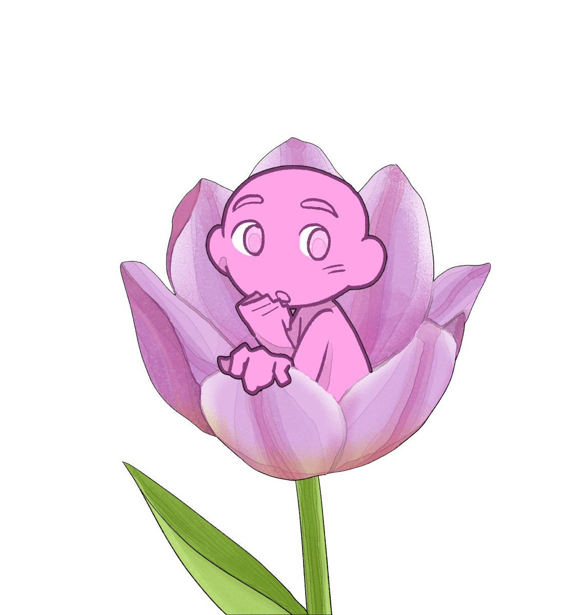 올빼미 tweet media