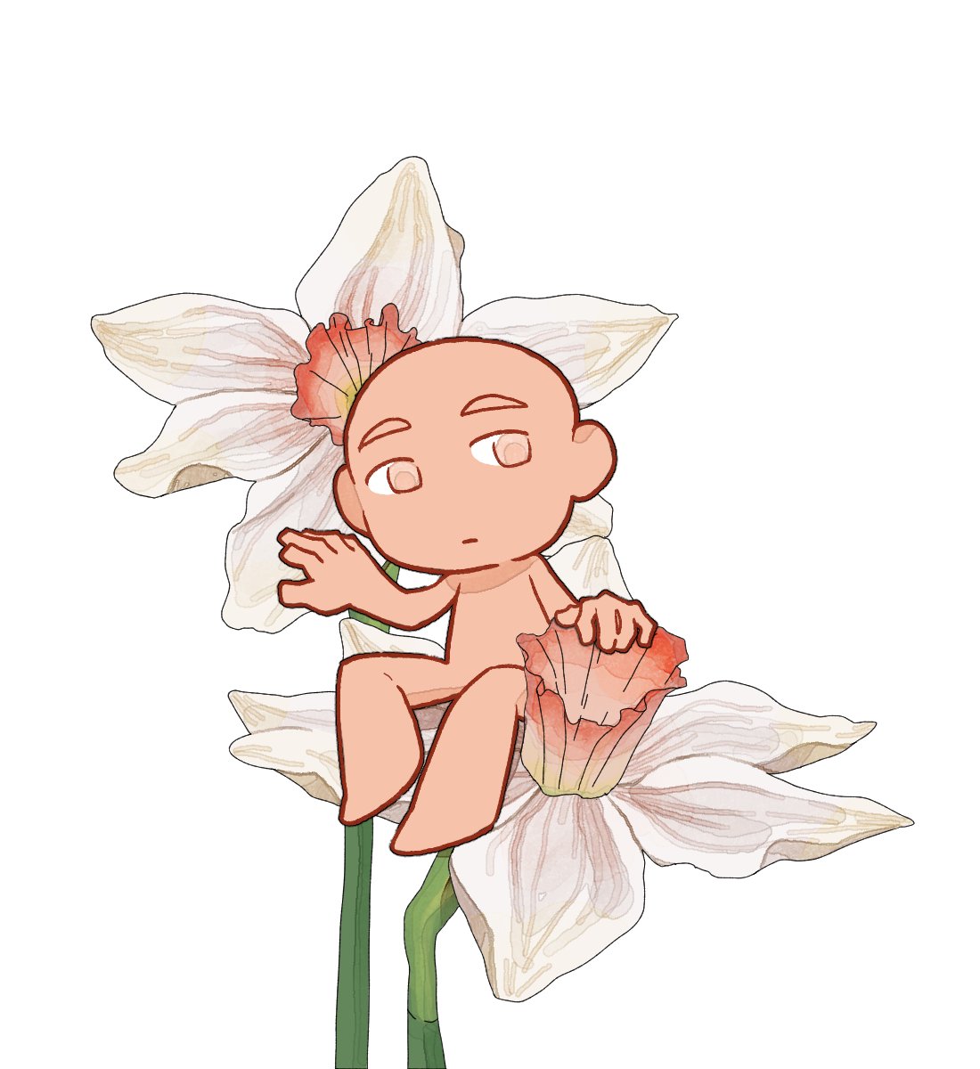 올빼미 tweet media