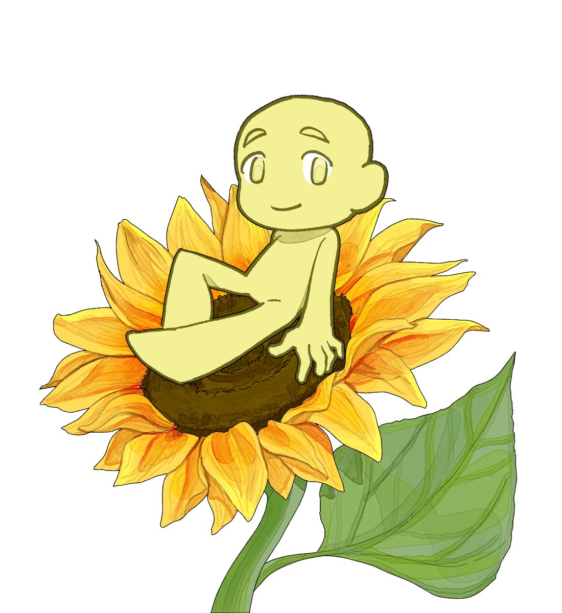 올빼미 tweet media