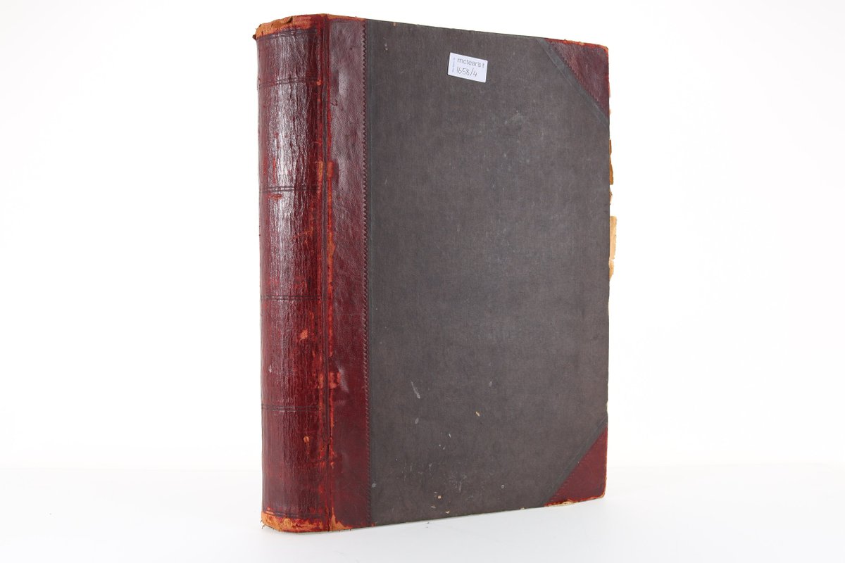 𝗠𝗶𝗰𝗵𝗮𝗲𝗹 tweet media