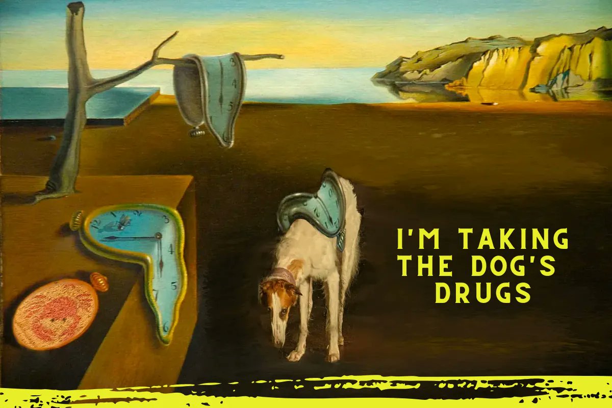 Lisa Goldapple ⚡ tweet media