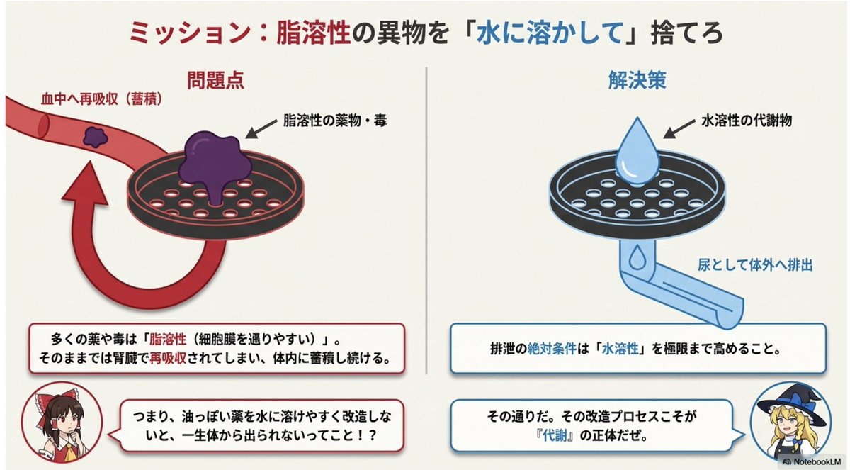 ゆみこっち tweet media