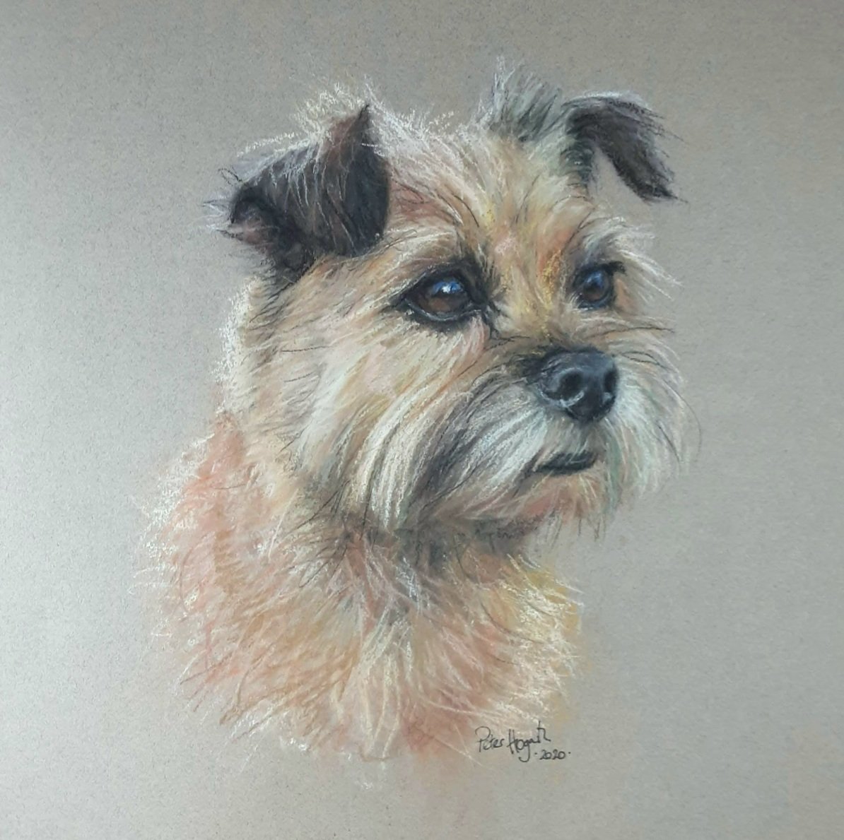 Peter Hogarth - Artist tweet media