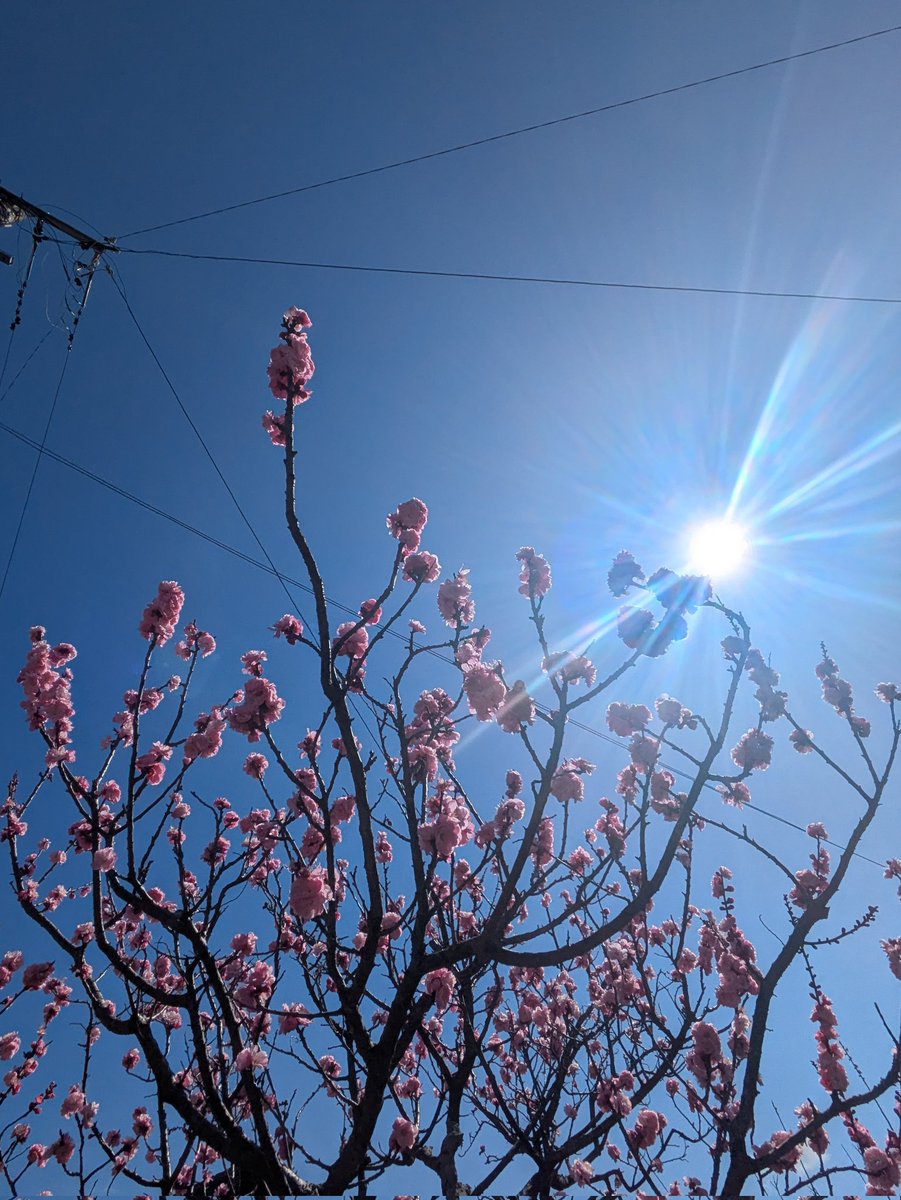 💖えまぽん💖 tweet media