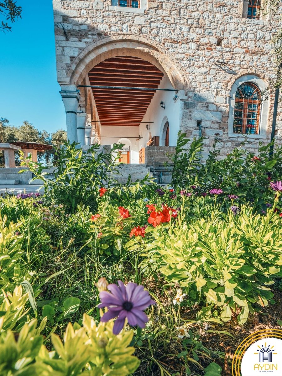 Visit Aydın tweet media