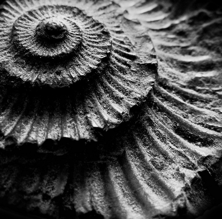 Уи́льям Форд Ги́бсон tweet media