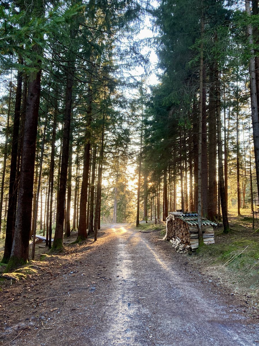 Blitzfreak⚡️🦺 tweet media