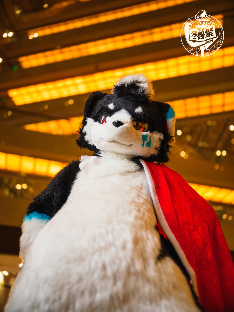 SuperFurryFusion tweet media