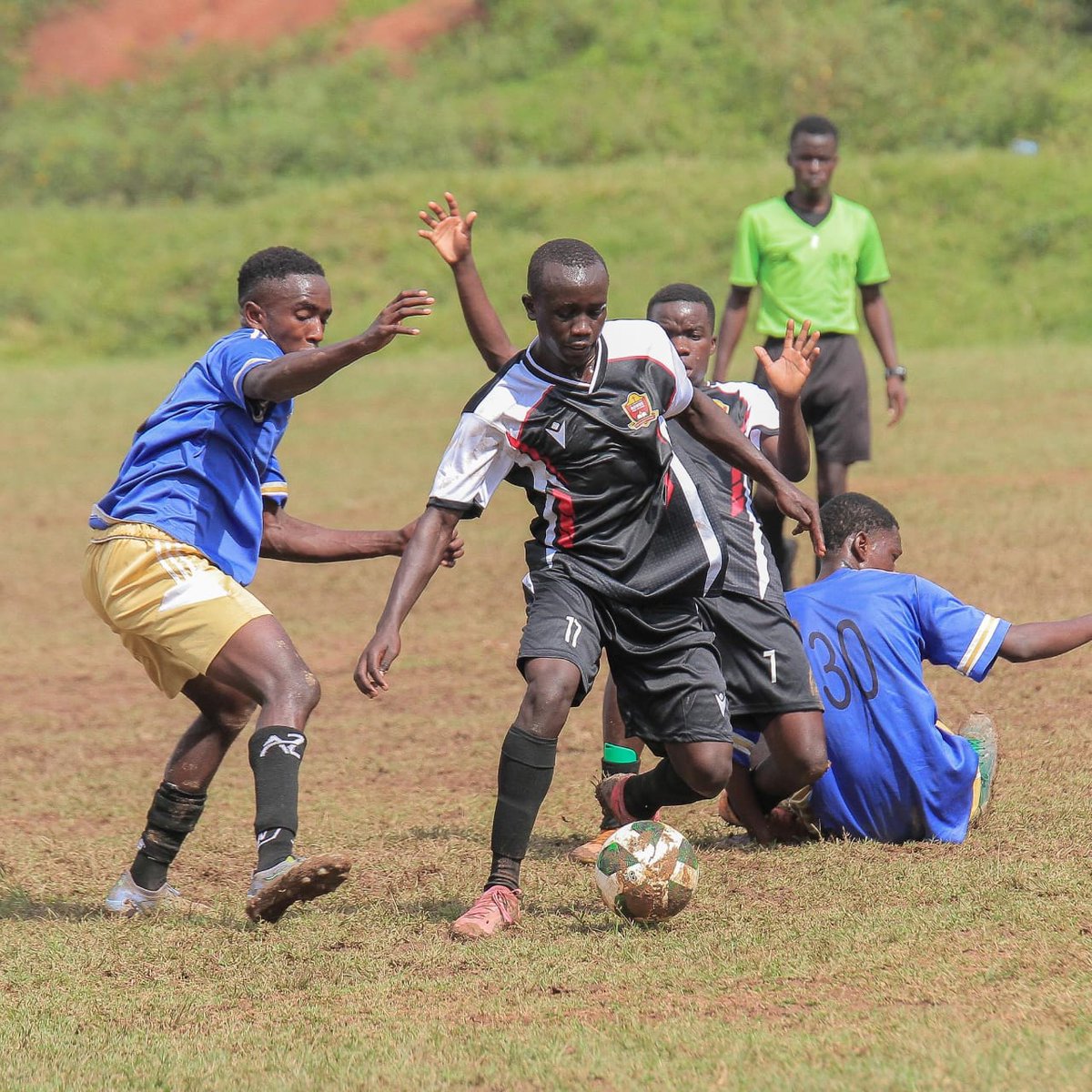 Munabudaka (GADUNYA JAFARI) tweet media