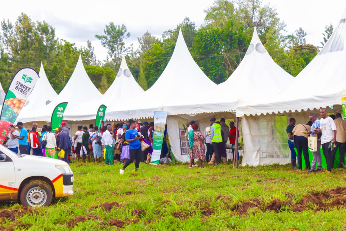 STAKenya's tweet photo. Thank you to everyone who made the Meru Field Day a success — our farmers, exhibitors, and partners who made it all possible.

We are excited to continue promoting effective farm inputs as we work together to advance agriculture.
Looking forward to the next one.
@cerealgrowerske https://t.co/P2ylDs6Xqi
