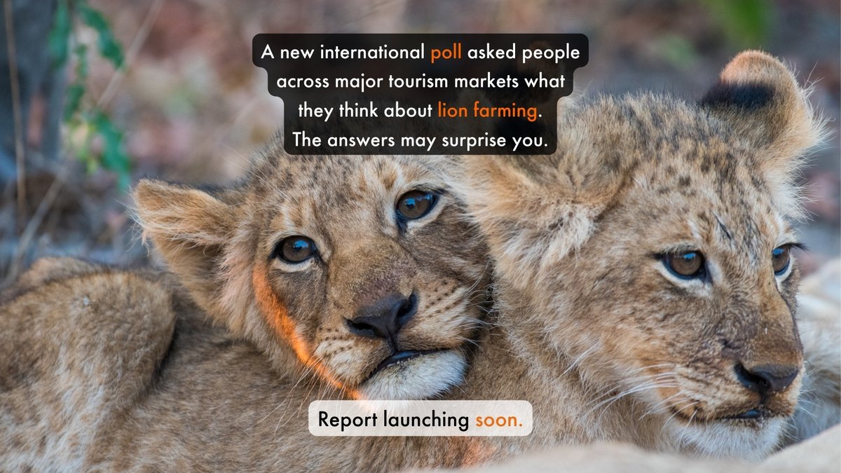 World Animal Protection Africa tweet media