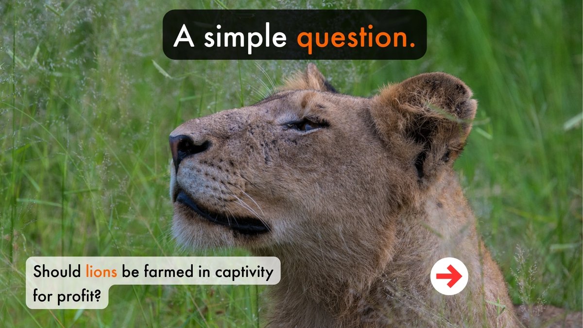 World Animal Protection Africa tweet media