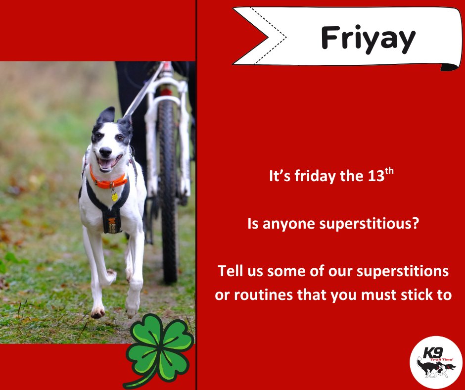 K9 Trail Time tweet media