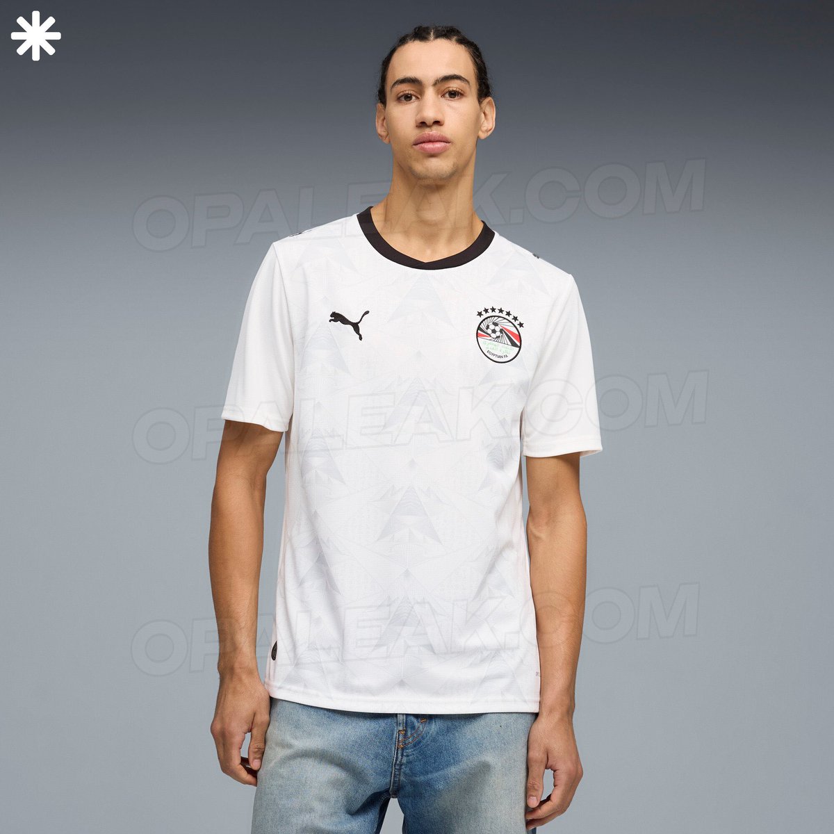 🚨 Les maillots de l’Égypte pour la Coupe du Monde 2026 ! 🇪🇬👕

(<a href="/opaleak/">Opaleak</a>)