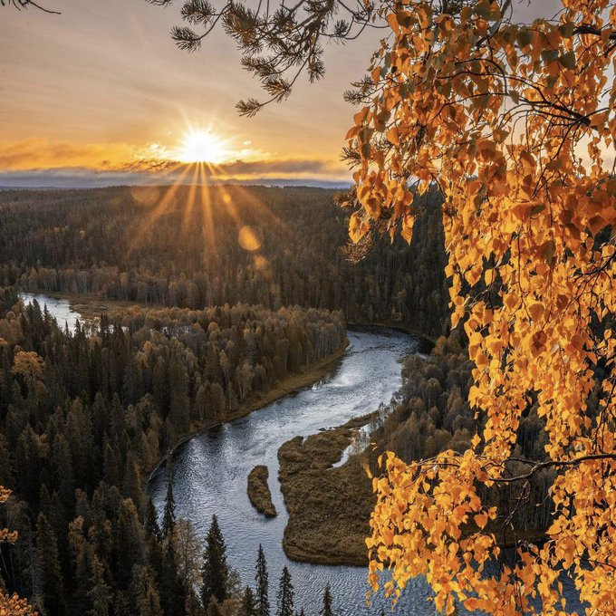 🇫🇮 Incroyable lever de soleil à Pähkänänkallio en Finlande !

Bon vendredi à tous ! 💛

📸 Niko Laurila