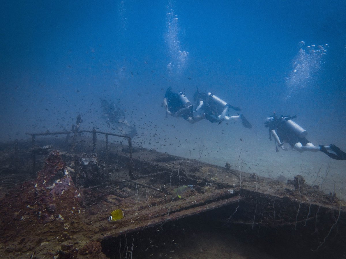 GoProIDCKohTao's tweet image. The PADI Wreck Specialty Instructor course gives you the knowledge and skills to teach this exciting and popular PADI specialty course. idckohtao.com/wreck-instruct… #Instructor #Speciality #KohTao #Wreck #Nitrox #Thailand
