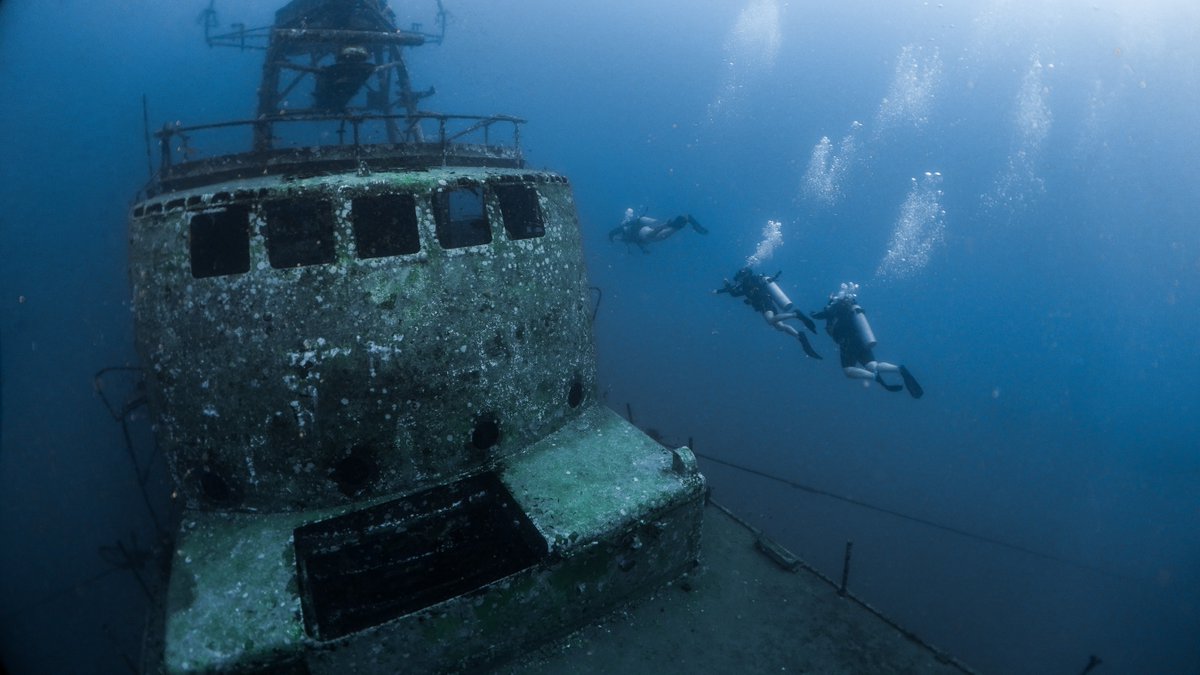 GoProIDCKohTao's tweet image. The PADI Wreck Specialty Instructor course gives you the knowledge and skills to teach this exciting and popular PADI specialty course. idckohtao.com/wreck-instruct… #Instructor #Speciality #KohTao #Wreck #Nitrox #Thailand