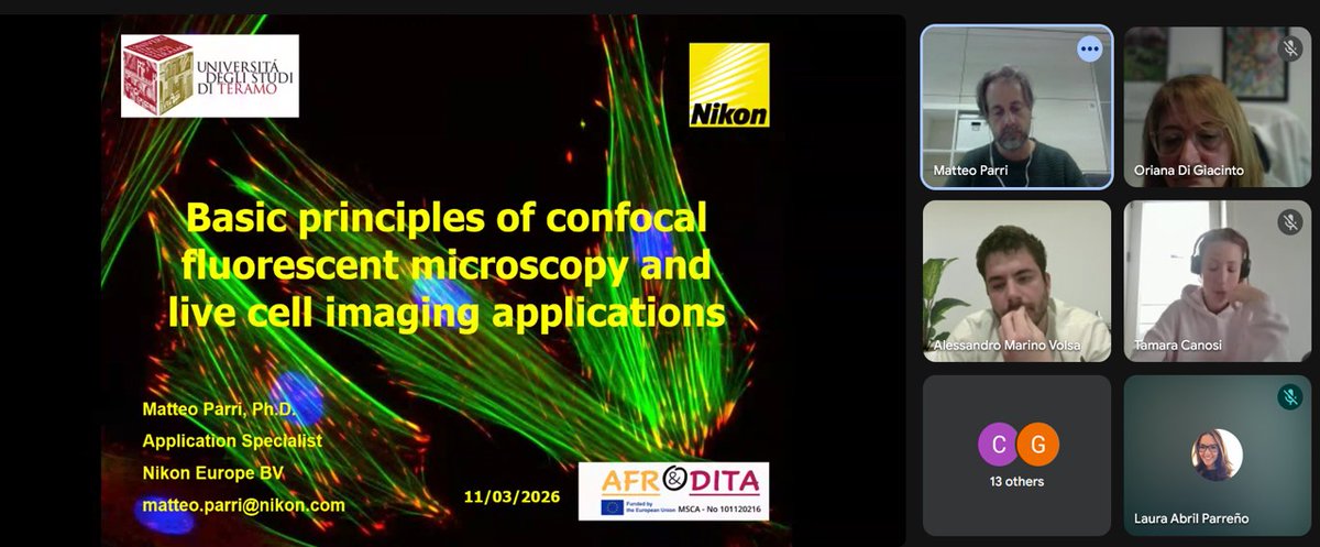 AFRODITA European Doctoral Network tweet media