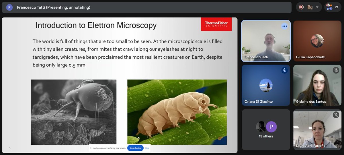 AFRODITA European Doctoral Network tweet media