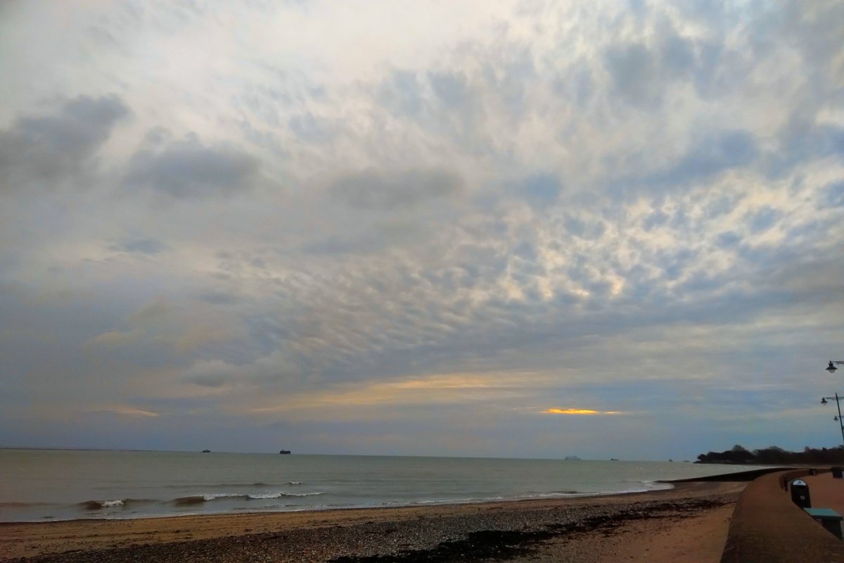 Wayne Whittle tweet media