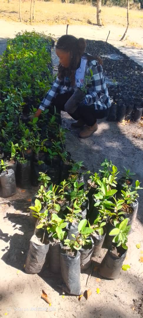 Gardening is one of the most underrated survival skills.

#ClimateAction
#ClimateAdaptation