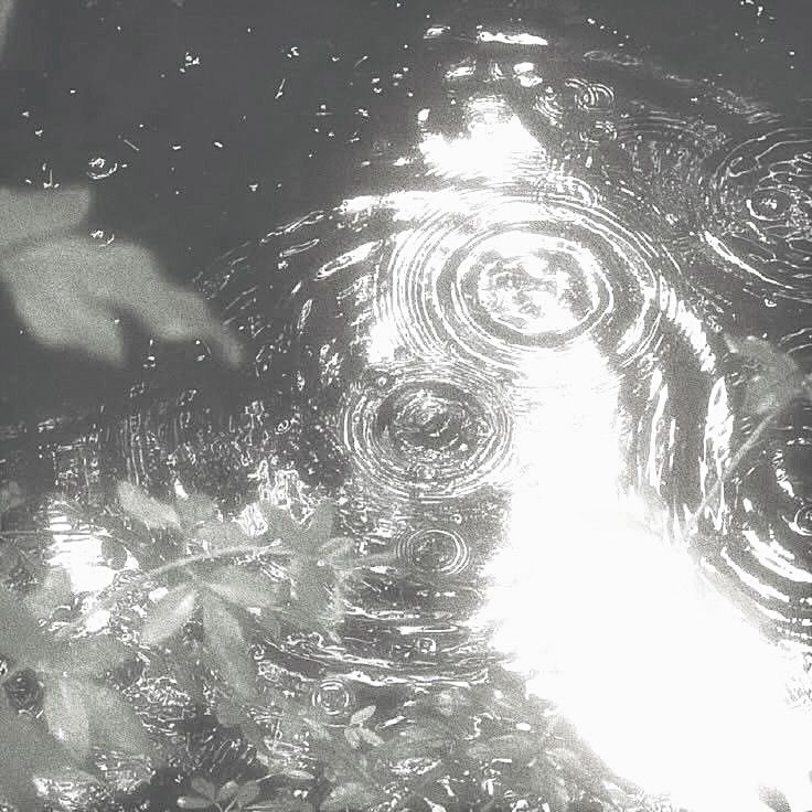 kat ☁️ tweet media