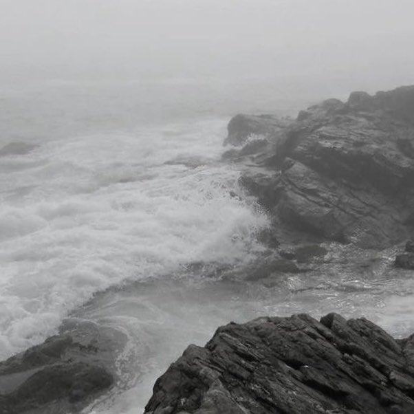 kat ☁️ tweet media