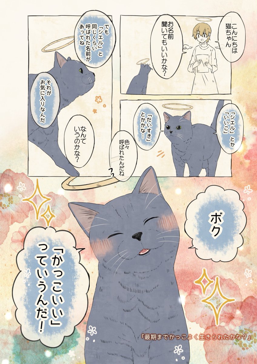ぷりんさま おまとめ 猫編まとめ【10/19】