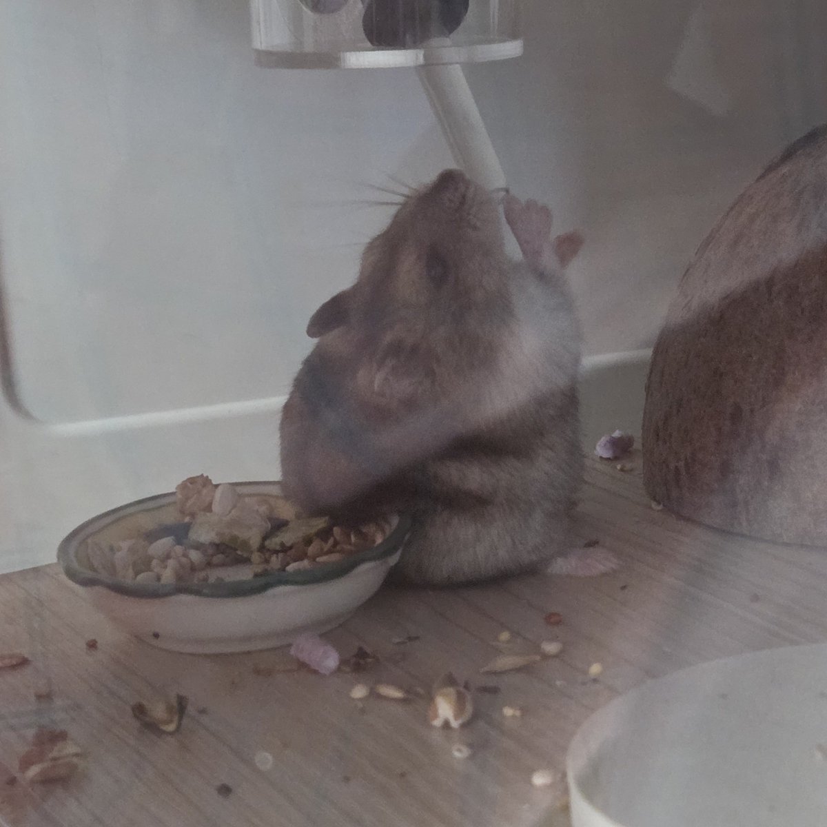 reallyhamham's tweet photo. 아나진짜잘못본줄 https://t.co/xqVf2LgYgx