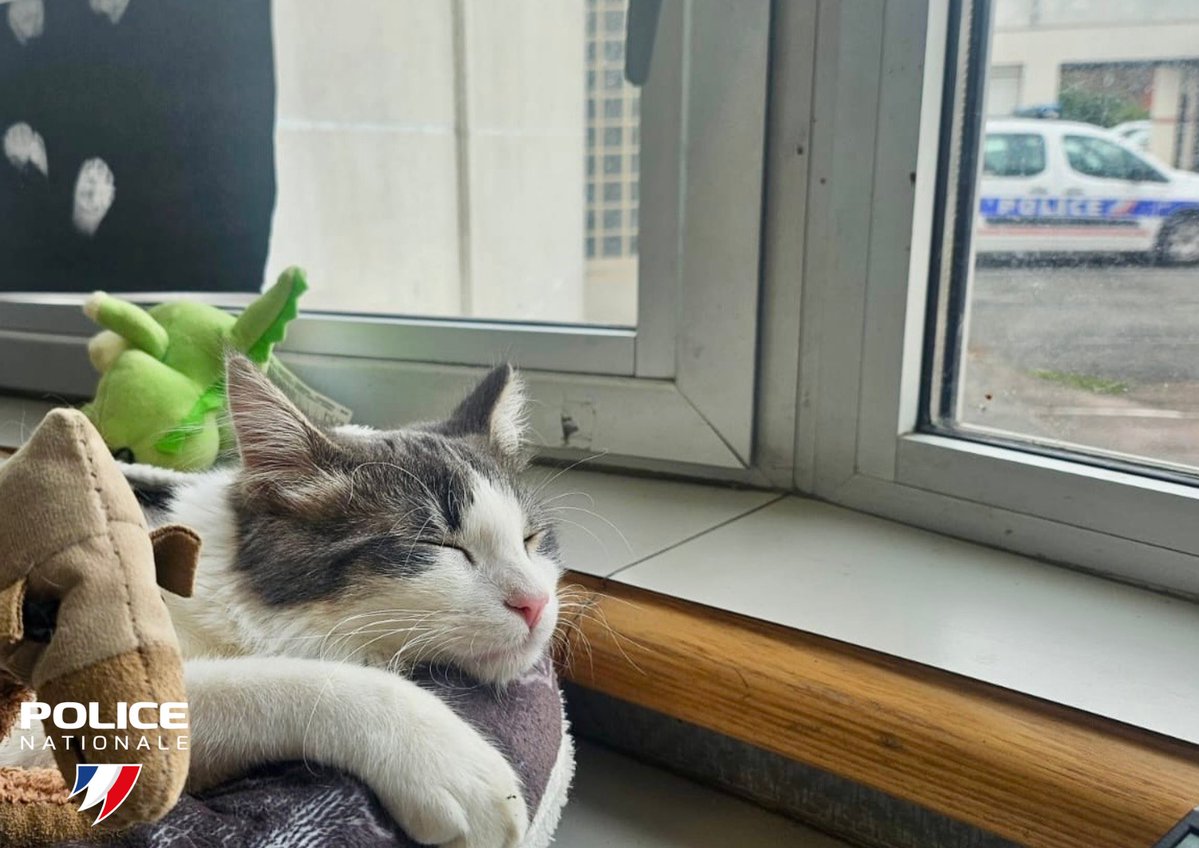 Police Nationale 45 tweet media