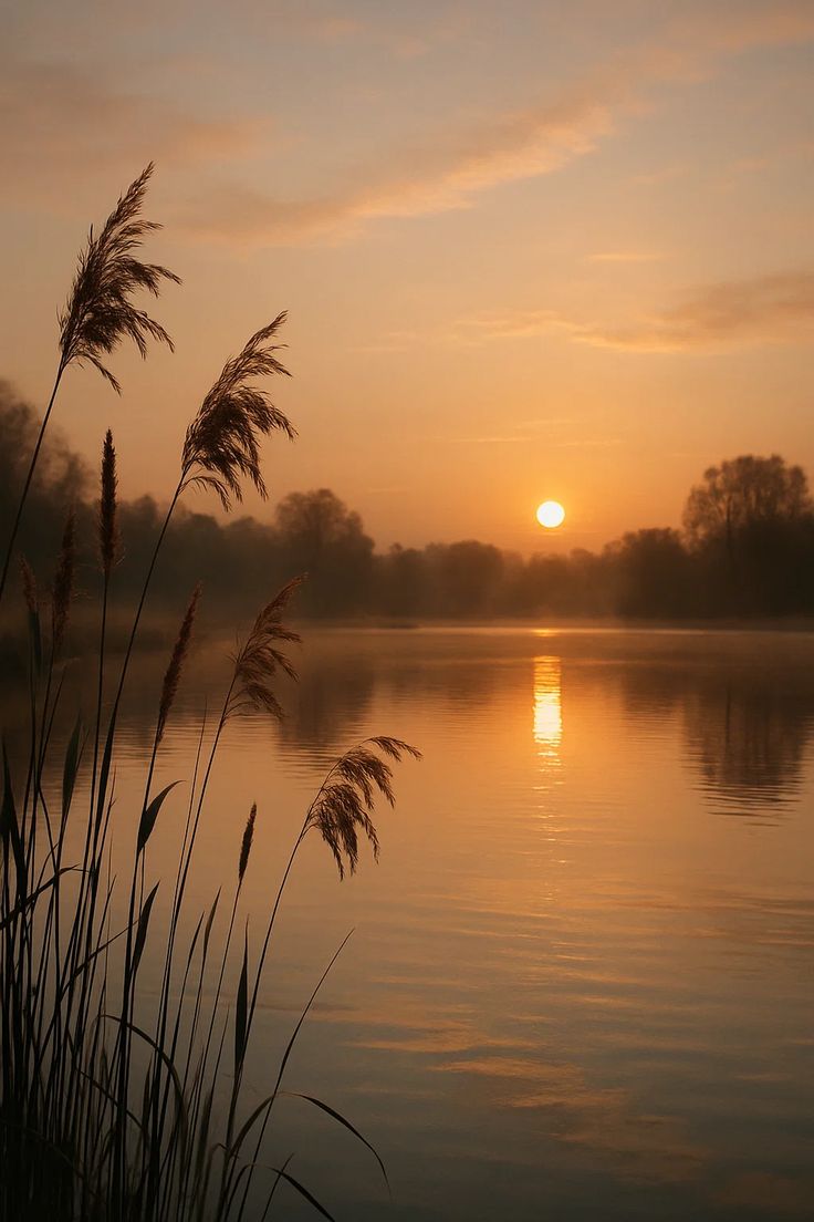 Dzień Dobry w piątek 13-go 🙂☕️
To musi być szczęśliwy dzień 👍😉